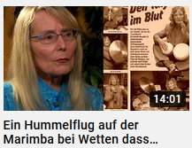 Video Hummelflug